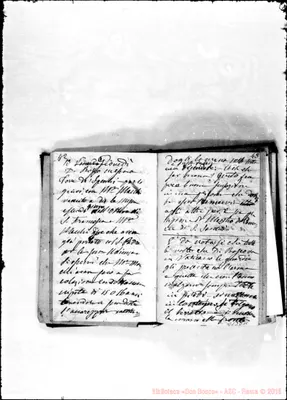 Fotogramma D 11