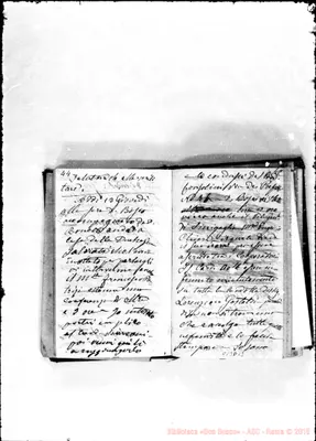 Fotogramma D 12