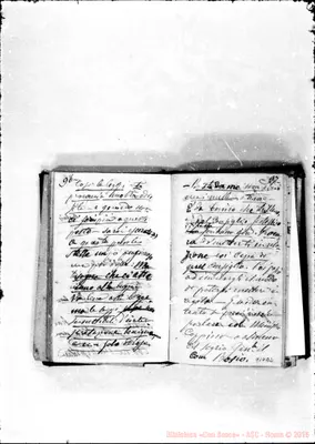 Fotogramma B 2