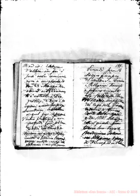 Fotogramma D 8