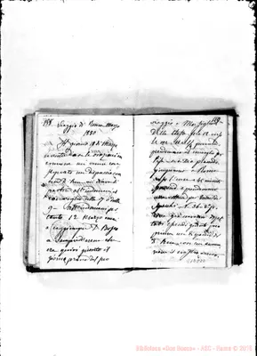 Fotogramma D 10