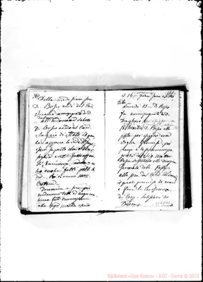 Fotogramma D 11