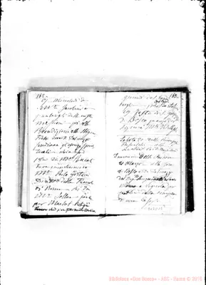 Fotogramma D 12