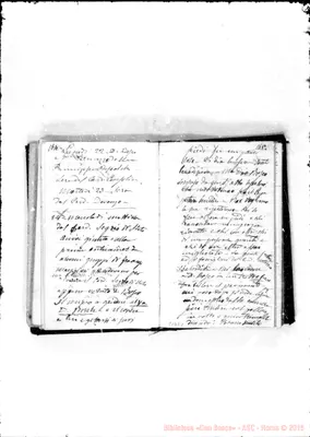 Fotogramma E 1