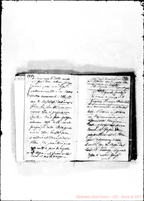 Fotogramma B 8