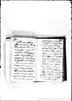 Fotogramma C 8
