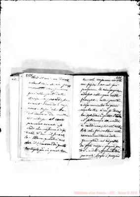 Fotogramma C 11