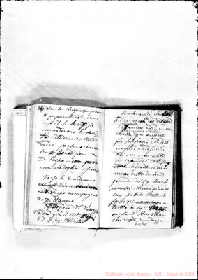 Fotogramma D 6