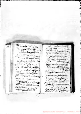 Fotogramma D 7