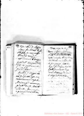 Fotogramma D 11