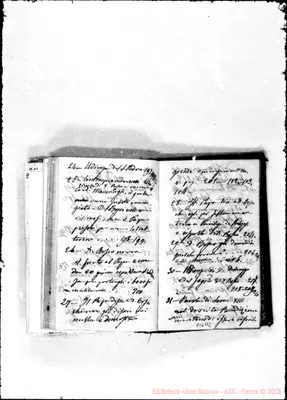 Fotogramma B 2