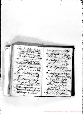 Fotogramma B 6