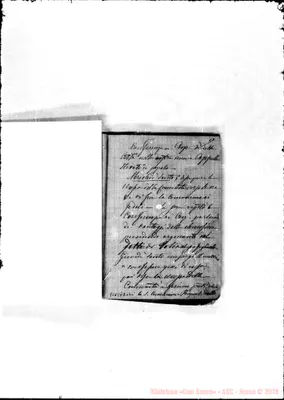 Fotogramma C 7