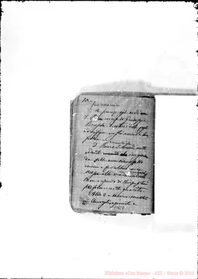 Fotogramma C 8