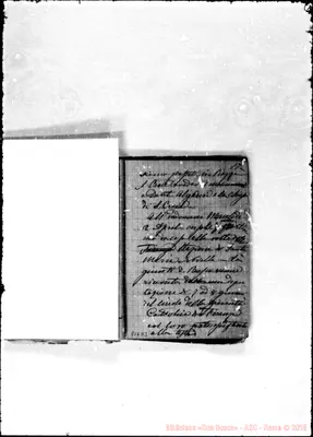 Fotogramma D 3