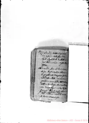 Fotogramma D 6