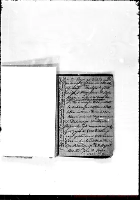 Fotogramma D 7