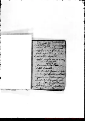 Fotogramma D 11