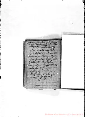 Fotogramma C 3