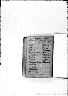 Fotogramma B 2