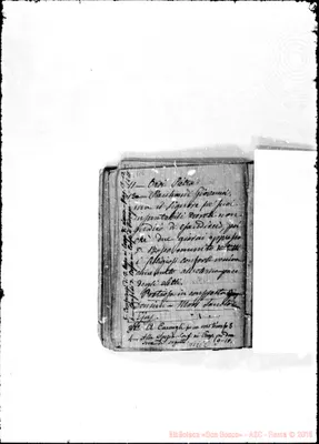 Fotogramma C 2