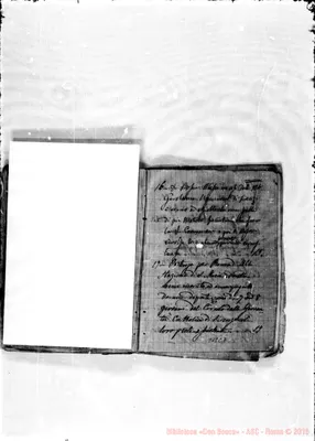 Fotogramma C 7