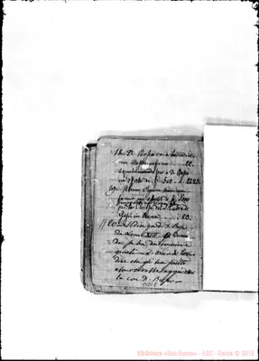 Fotogramma C 8