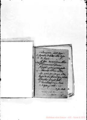 Fotogramma C 11