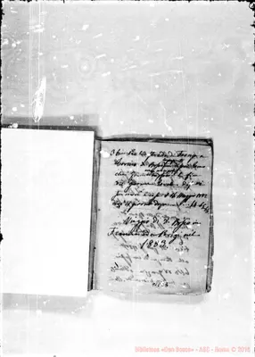Fotogramma D 5