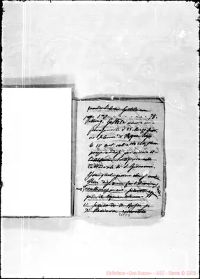 Fotogramma D 9