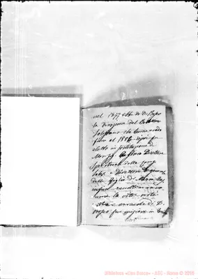 Fotogramma E 9