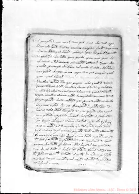 Fotogramma D 7