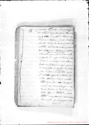 Fotogramma C 10