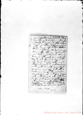 Fotogramma E 8
