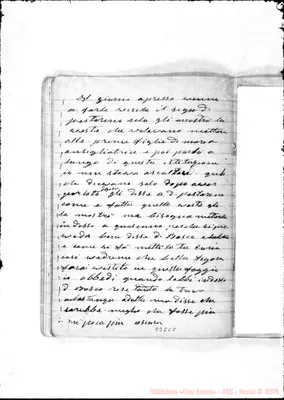 Fotogramma C 8