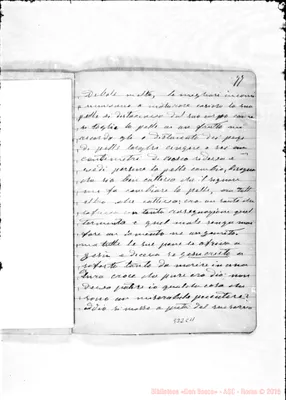 Fotogramma C 11