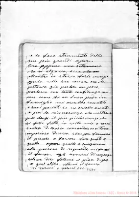 Fotogramma D 8