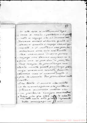 Fotogramma D 11