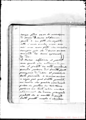 Fotogramma C 11