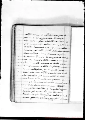 Fotogramma D 7
