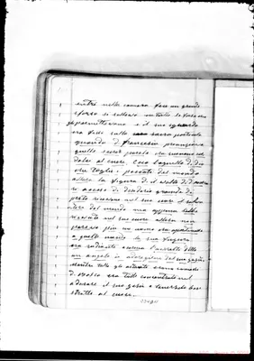 Fotogramma D 11