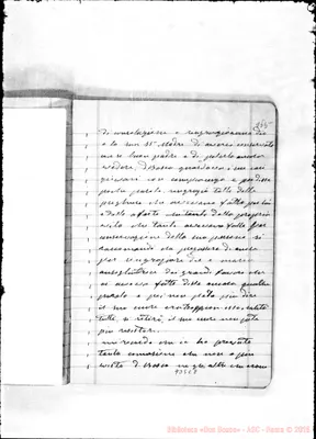 Fotogramma C 8