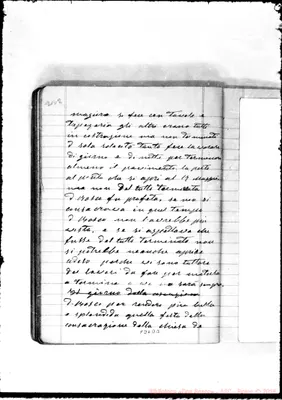 Fotogramma D 3