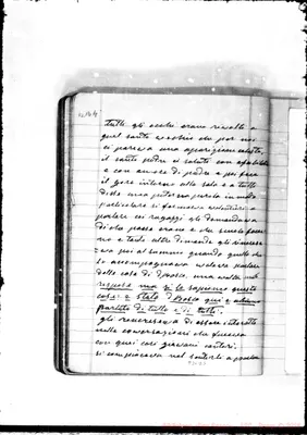 Fotogramma D 5