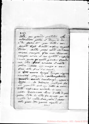 Fotogramma C 5