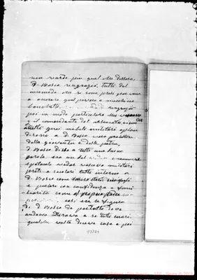 Fotogramma D 4