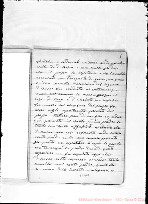 Fotogramma D 7