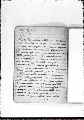 Fotogramma B 6