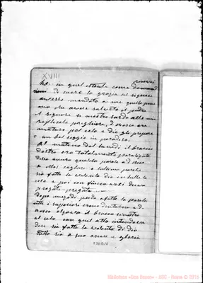 Fotogramma B 10