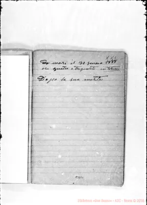 Fotogramma C 1